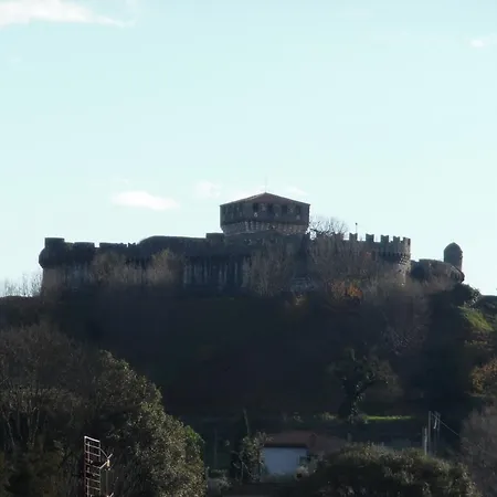 Lady Daire Sarzana